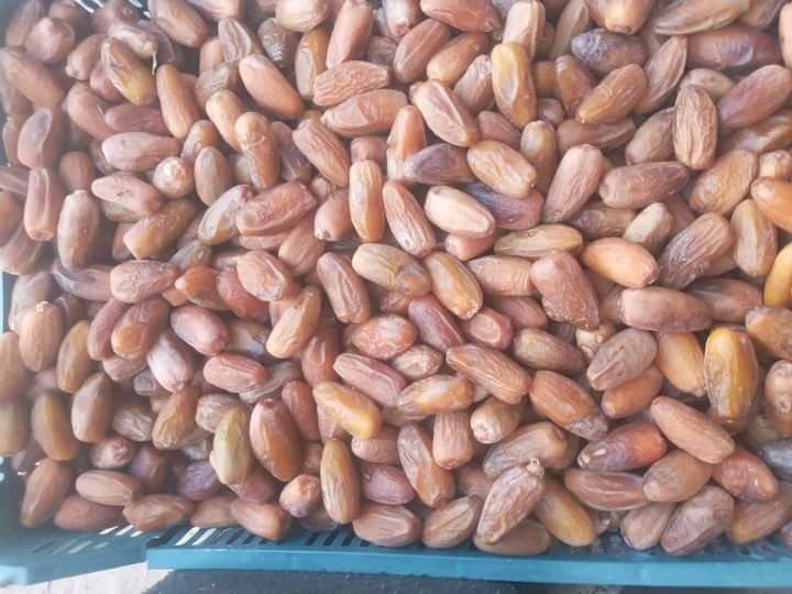 Deglet Noor – Standard