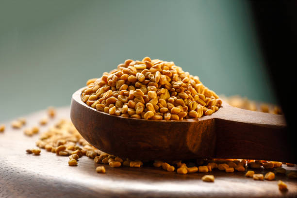 Fenugreek